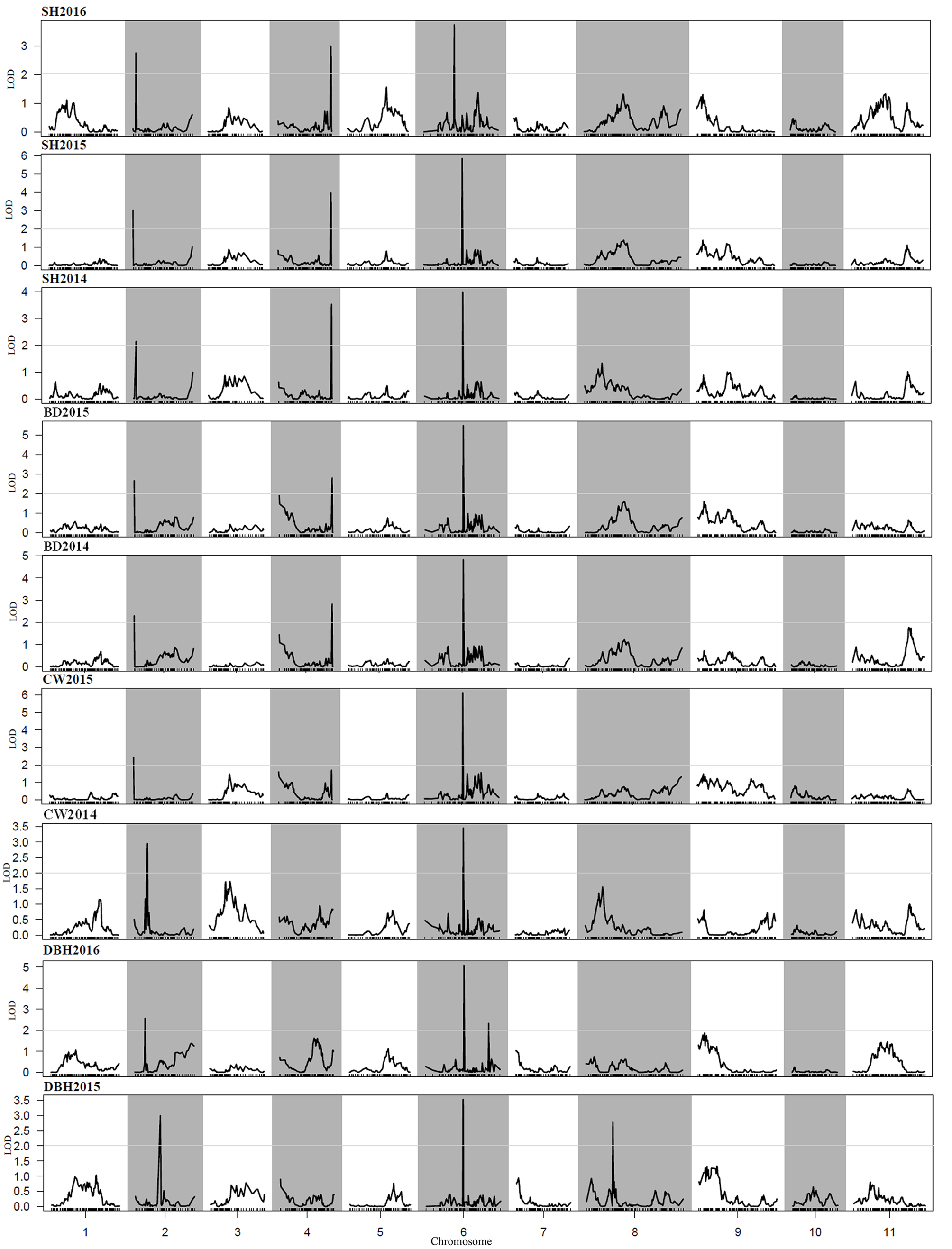 Figure 3(1).jpg