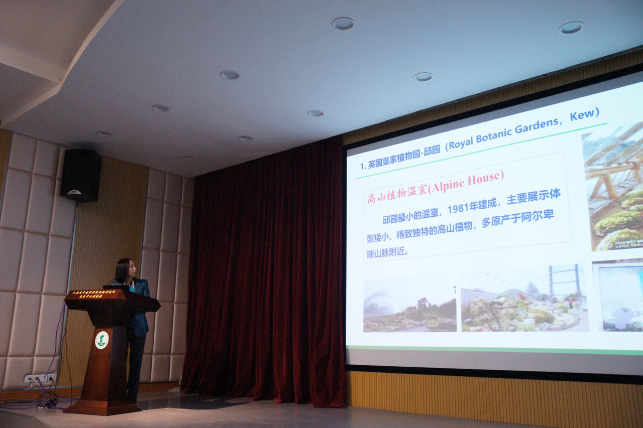 所（园）举行出访交流报告会