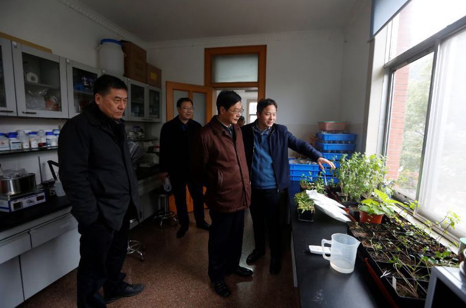 微信图片_20190201101518.jpg