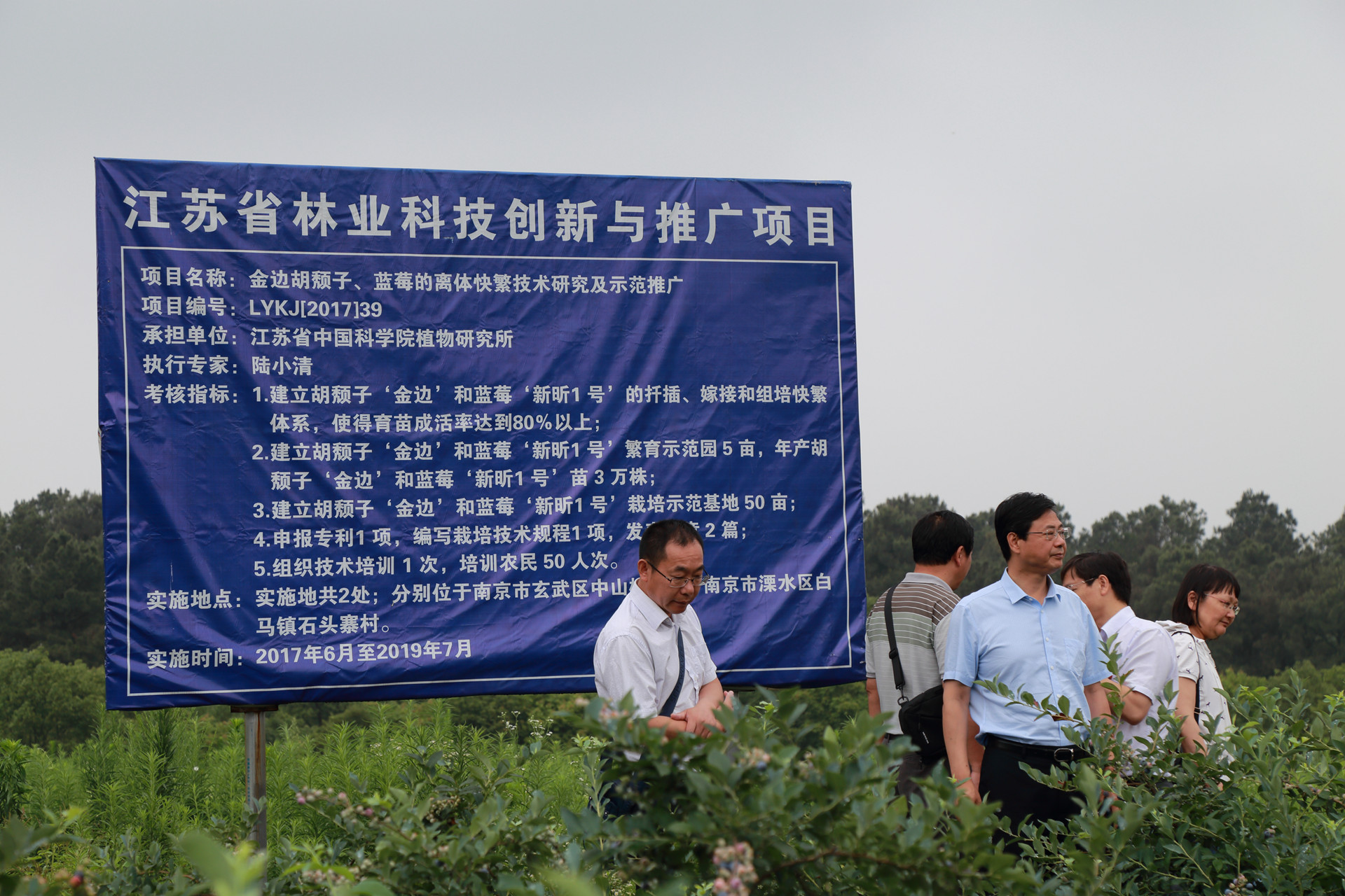 调研蓝莓新品种推广情况_副本.jpg