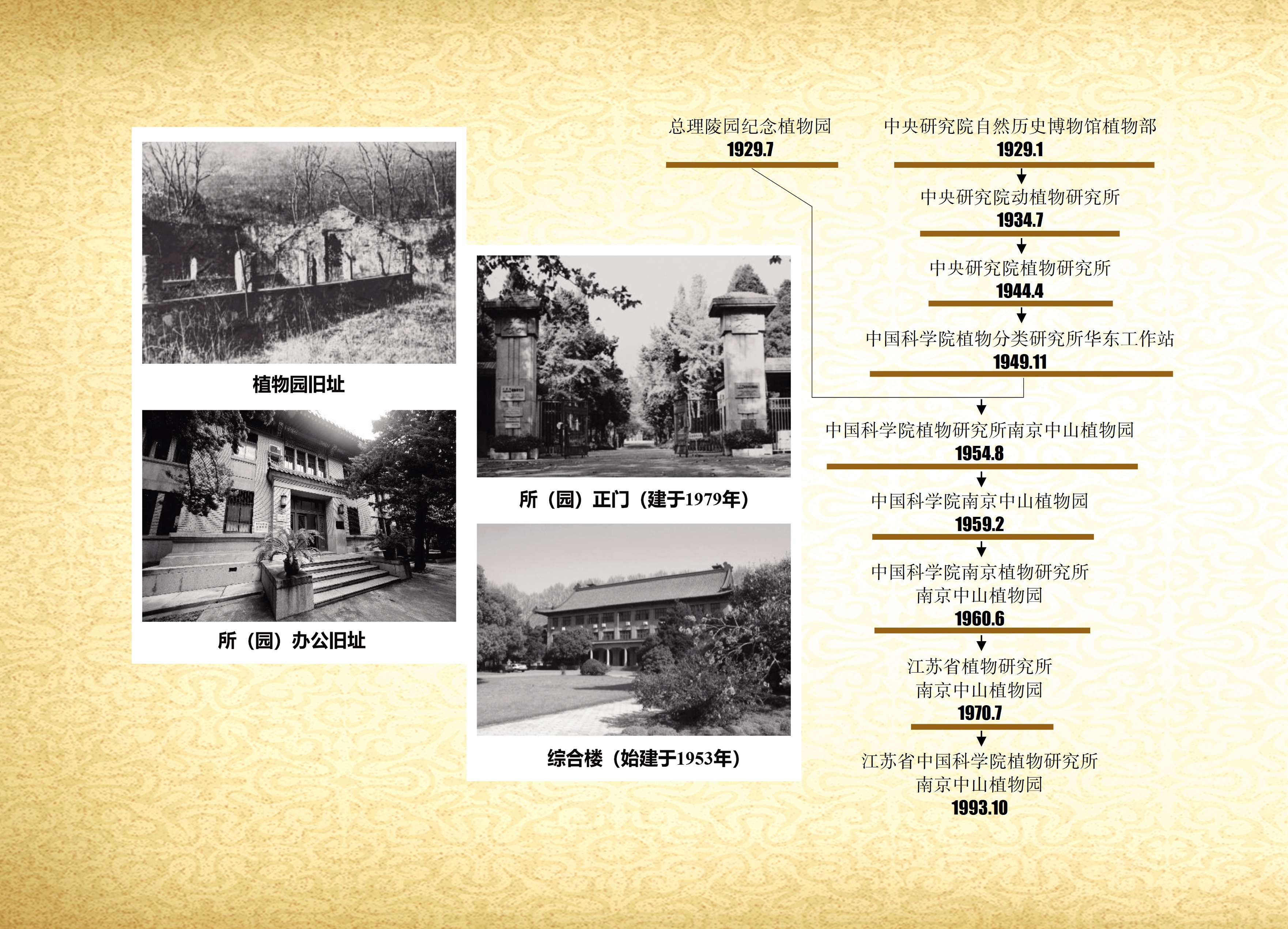 历史沿革.jpg