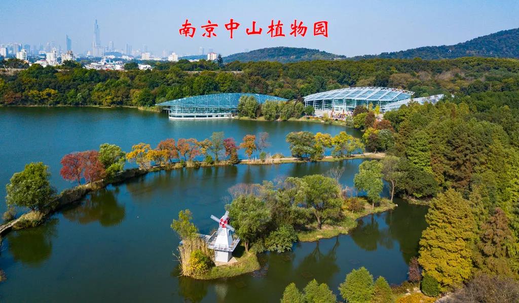 微信图片_20200214213725.jpg