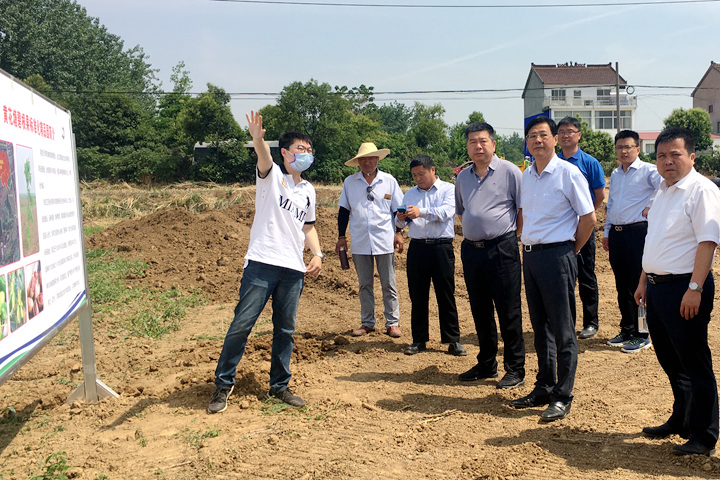 调研黄花塘碧根果标准化精品园_副本.jpg
