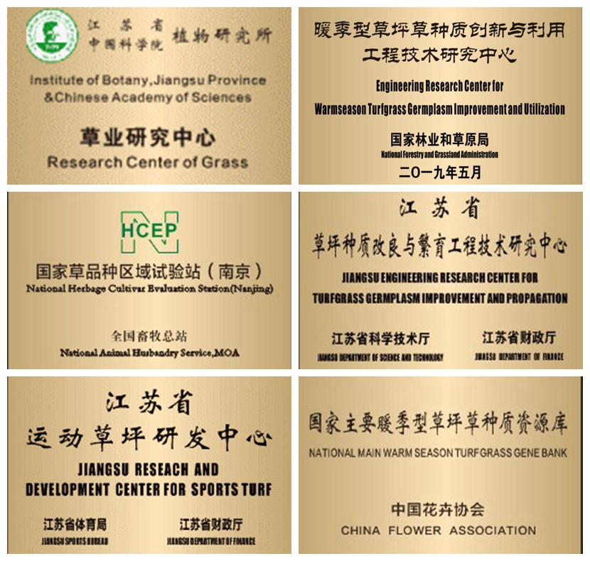 NeoImage_副本.jpg