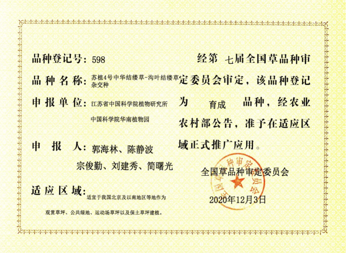 我所自主选育的‘苏植4号’杂交结缕草新品种通过国家审定