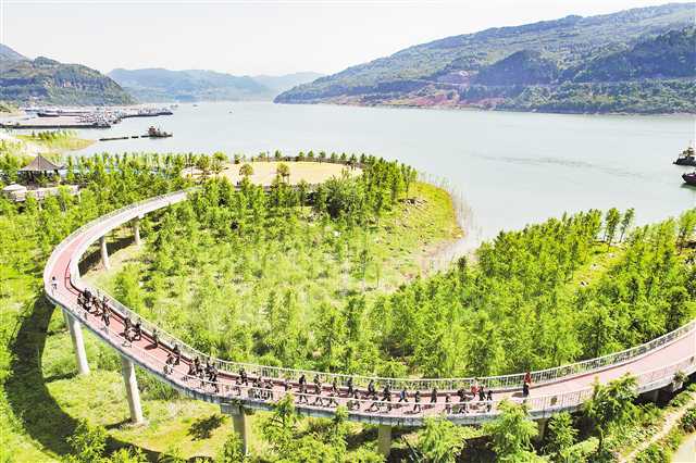 所（园）选育中山杉破解消落带生态修复治理难题