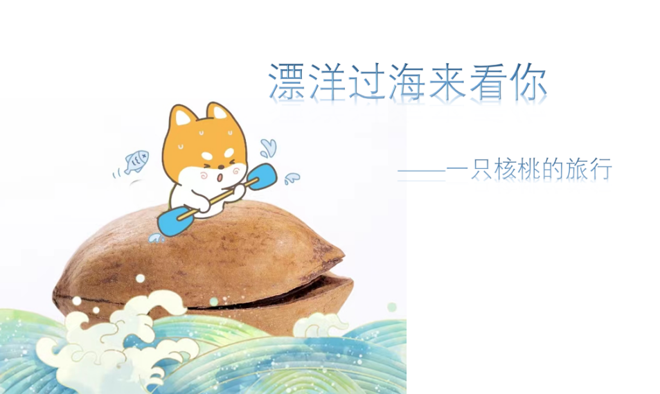 核桃6.png