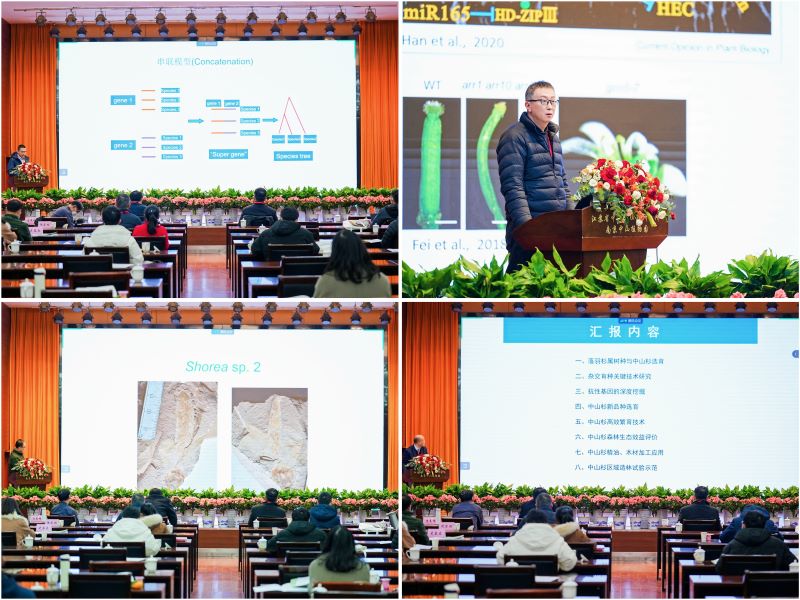 学术年会部分专题报告.jpg