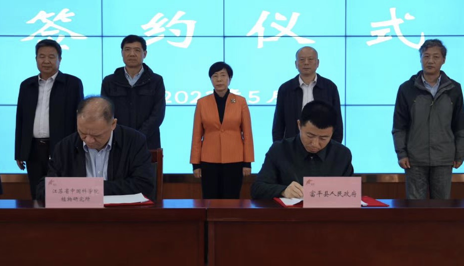 助力苏陕协作，我所“富平柿染研究中心”揭牌成立