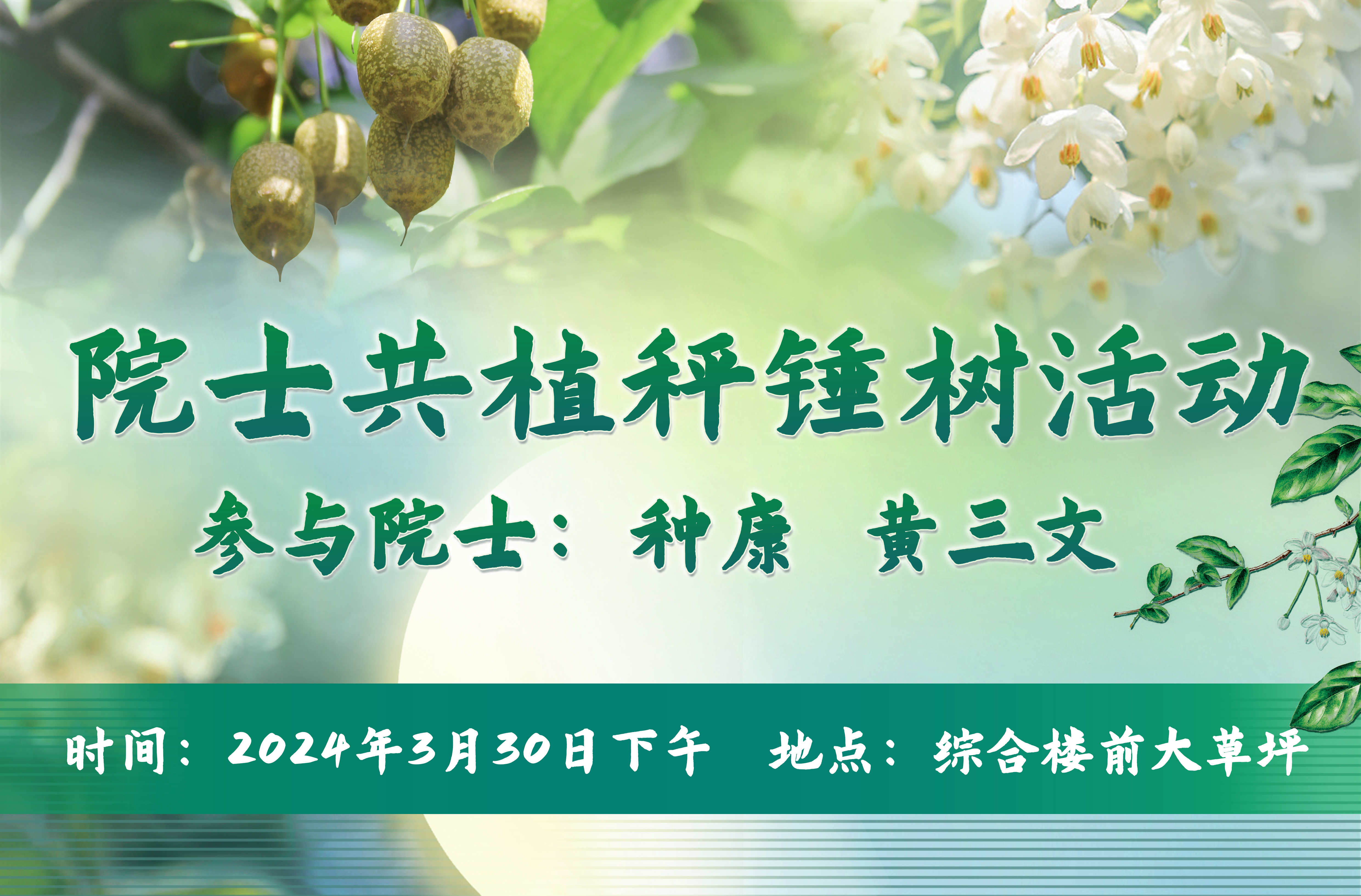 院士共植秤锤树活动