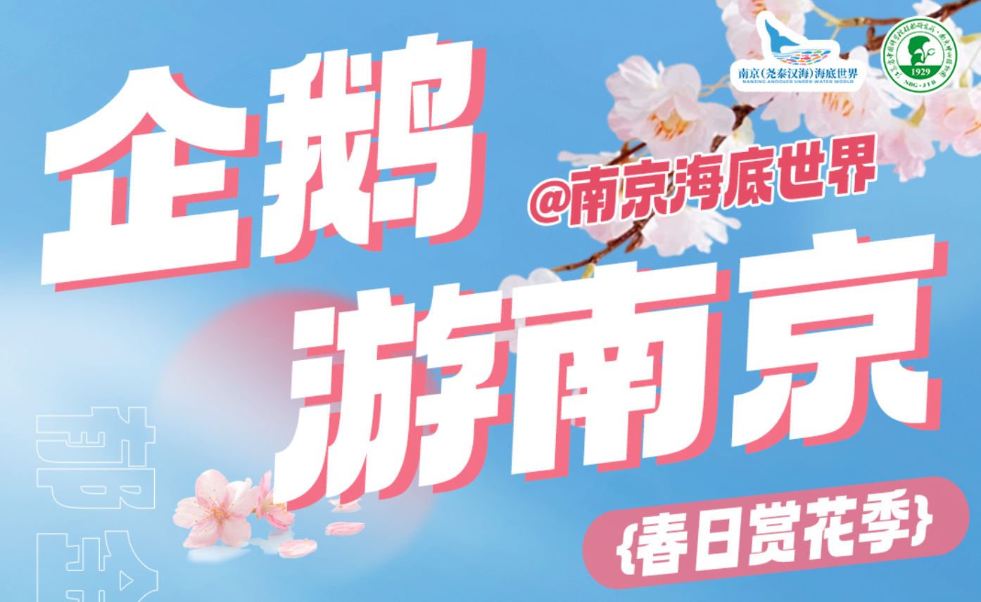逃学企鹅来南京中山植物园赏花了