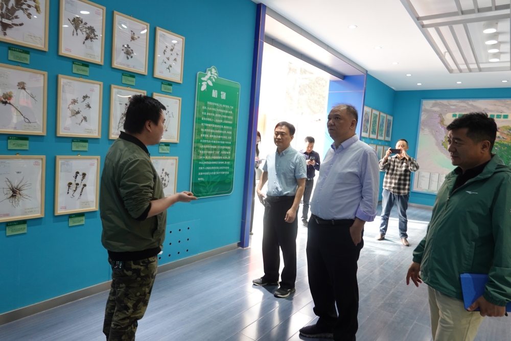 DSC02962_proc_副本.jpg