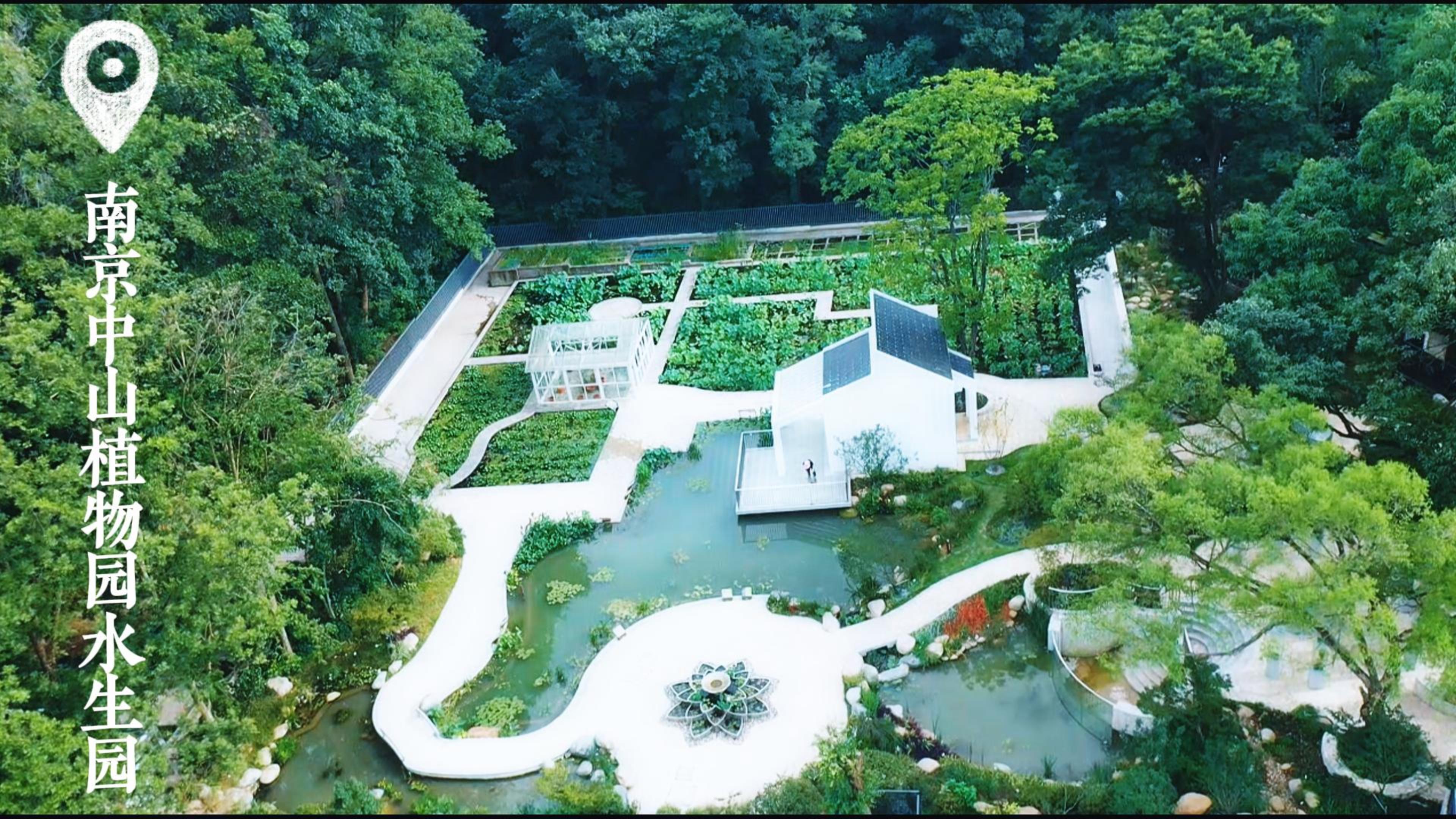 水生植物园
