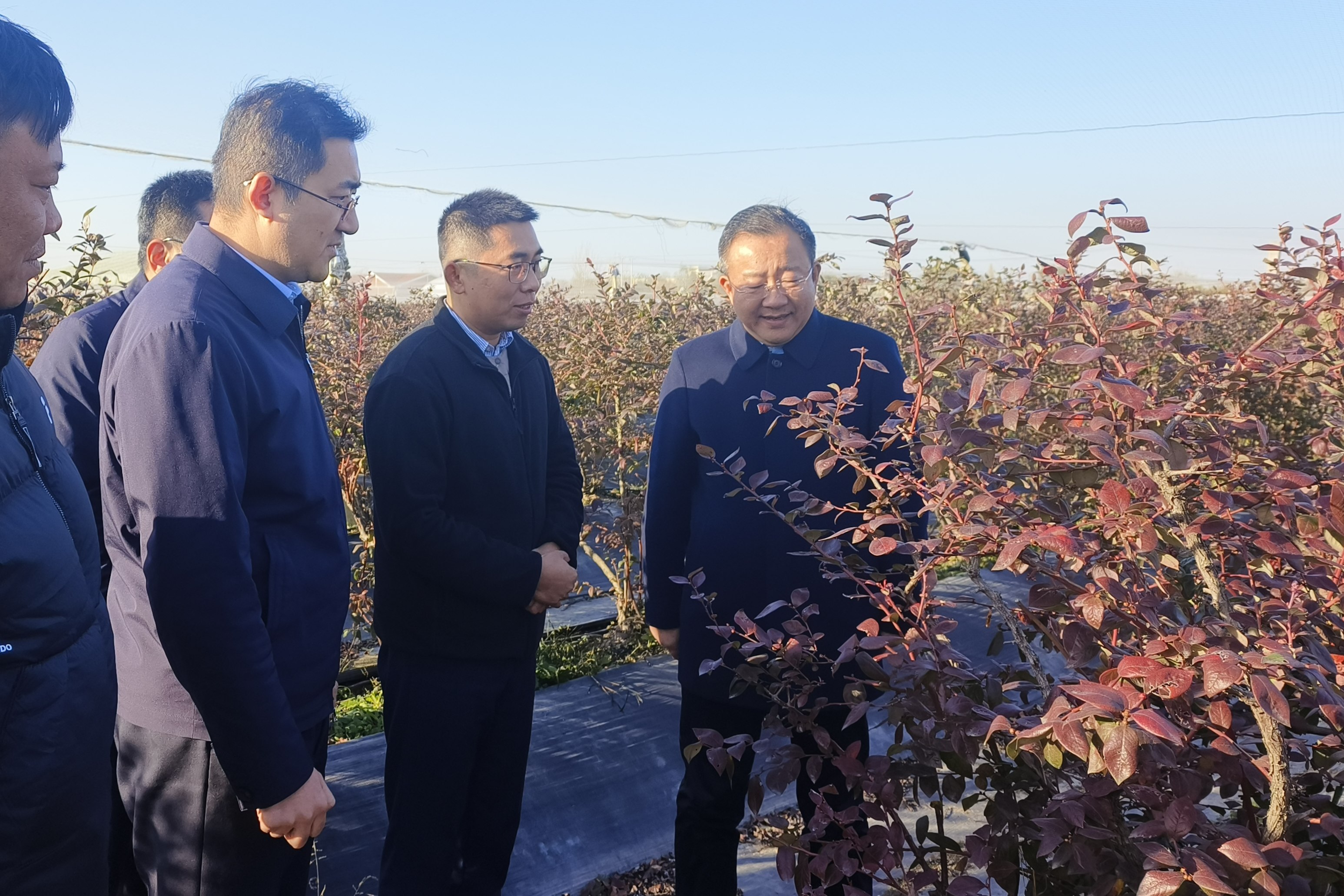 所（园）领导赴新沂市调研并看望挂职干部